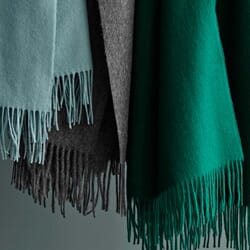 70001 - Evergreen - Extra 2_1.jpg