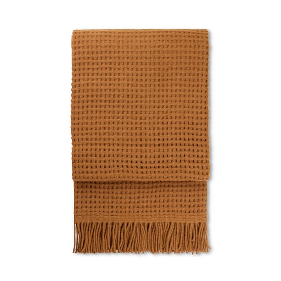 70007 - Camel - Extra 1.jpg.jpg