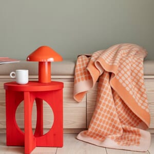 PALETTE 6254 Coral 2.jpg