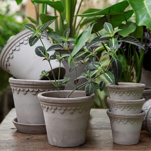 KG16S_Rel Bergs_Potter_Copenhagen_Raw_Grey_4.jpg