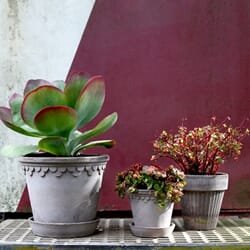 KG21S_Rel bergs-potter-kbenhavn-potte-gra-2.jpg