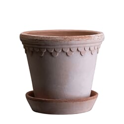 Københavner Krukke Rose 21x19